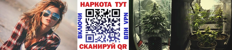 Купить наркоту Барнаул Бошки Шишки  APVP  Кокаин  OMG как войти  Меф  Гашиш 