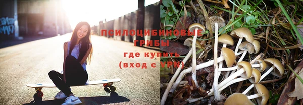 гидропоника Абдулино